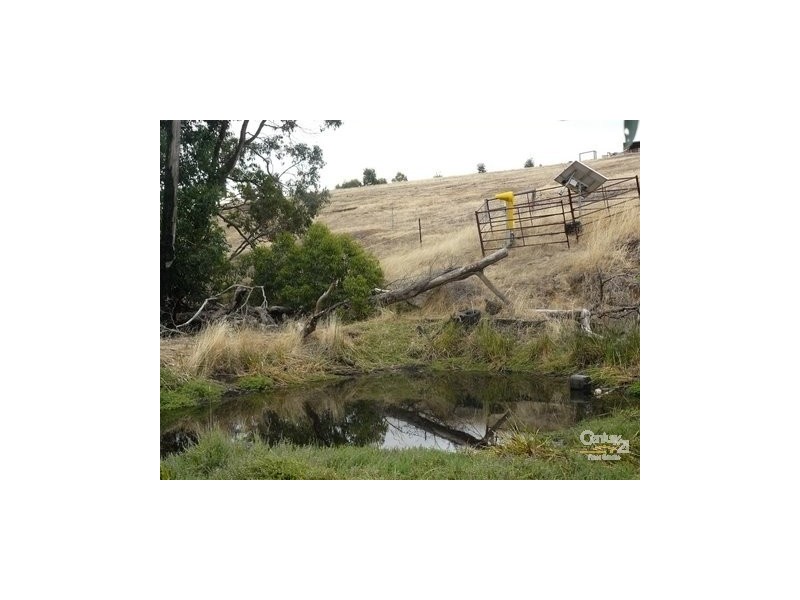 4 Quindanning Road, Harvey WA 6220