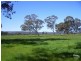 146 Birbeck/Rodway Road, Cookernup, Harvey WA 6220
