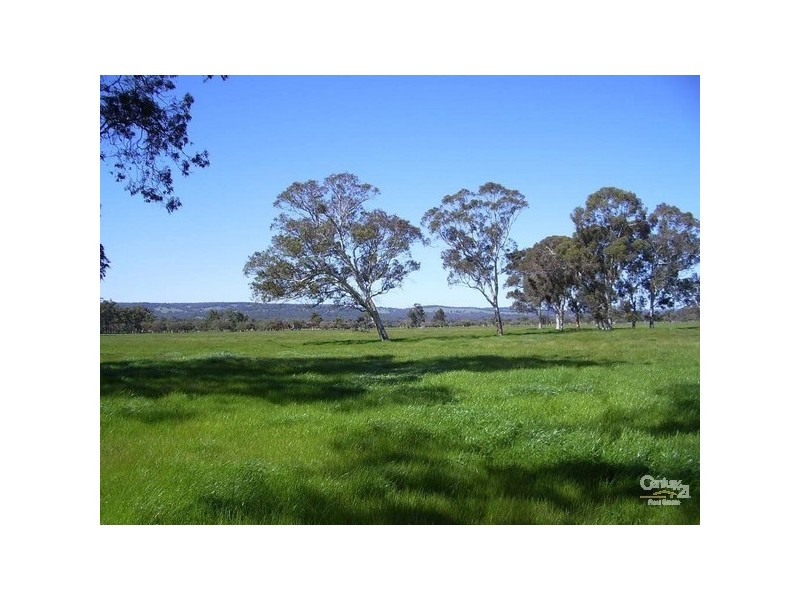 146 Birbeck/Rodway Road, Cookernup, Harvey WA 6220
