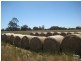 146 Birbeck/Rodway Road, Cookernup, Harvey WA 6220