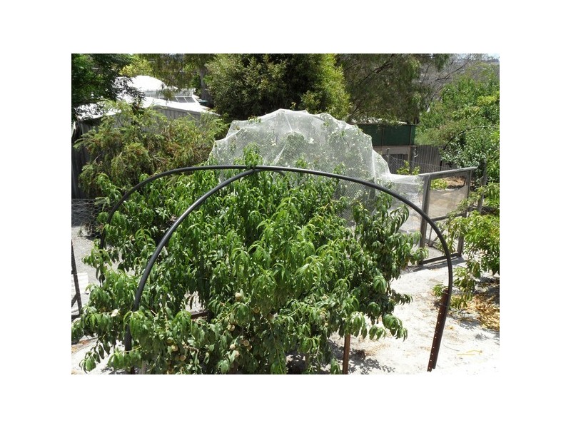 2 Trigwell Street, Donnybrook WA 6239