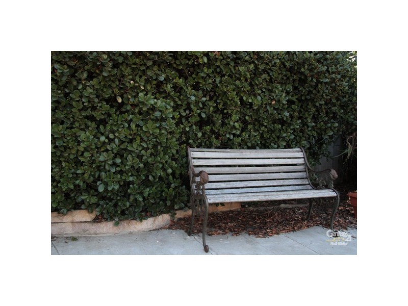 98 Hamilton Road, Eaton WA 6232