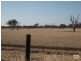 128 Leitch Road, Wokalup, Harvey WA 6220