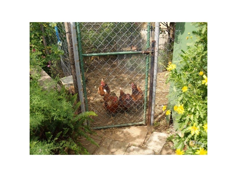 6 Third Street, Harvey WA 6220