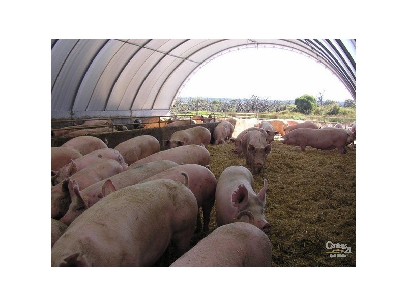 93 Alexander Road, Cookernup WA 6220