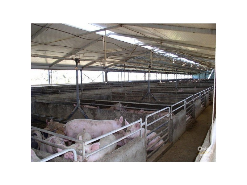 93 Alexander Road, Cookernup WA 6220