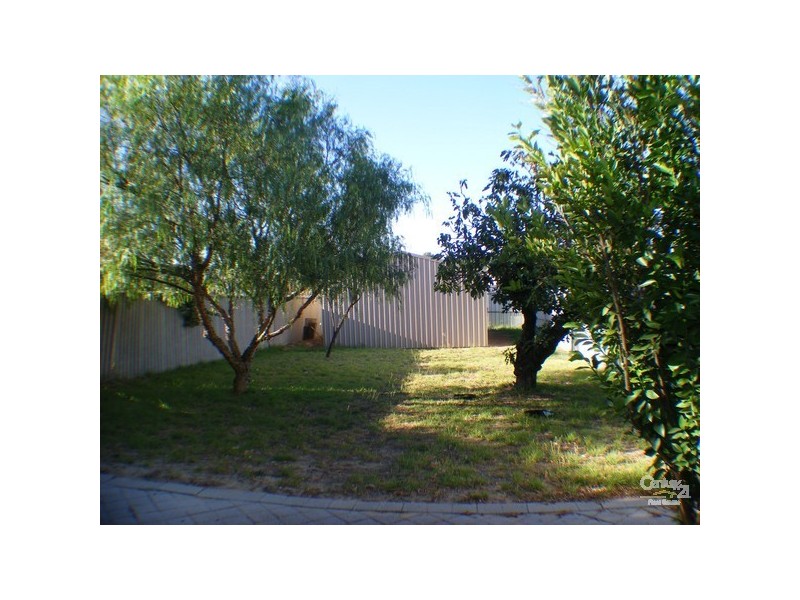 142 Wittenoom Street, Collie WA 6225