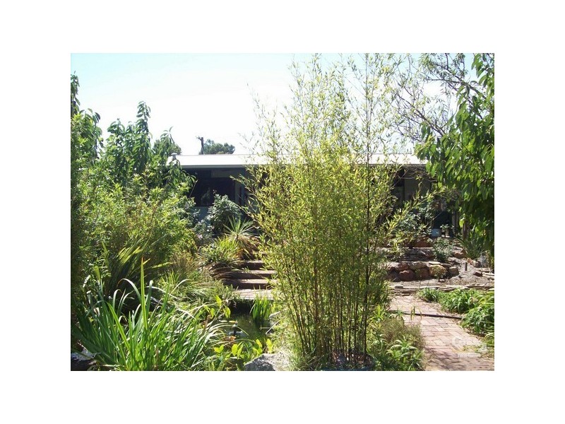 21 Wallsend Street, Collie WA 6225