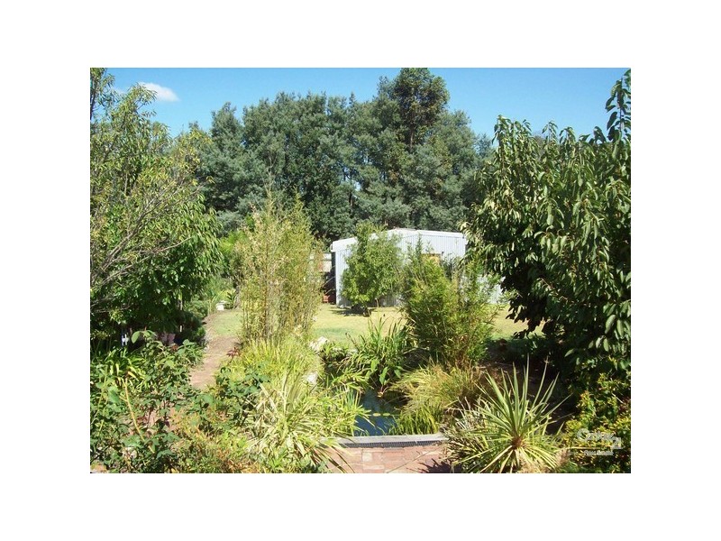 21 Wallsend Street, Collie WA 6225