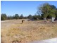 2984 Coalfields Road, Allanson WA 6225