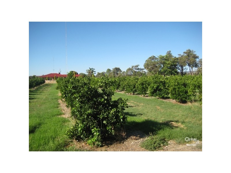 185 Ninth Street, Harvey WA 6220