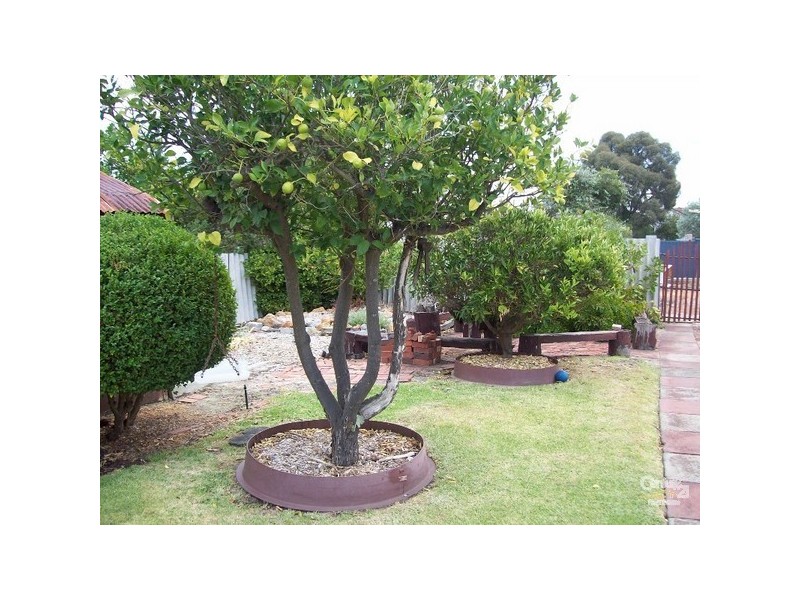 5 Patterson Street, Collie WA 6225