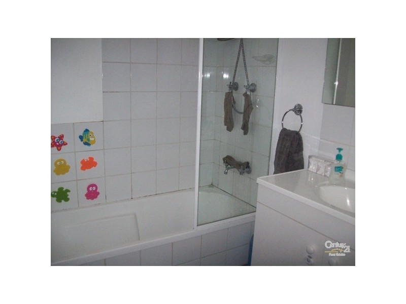 5 Doyle Street, Collie WA 6225