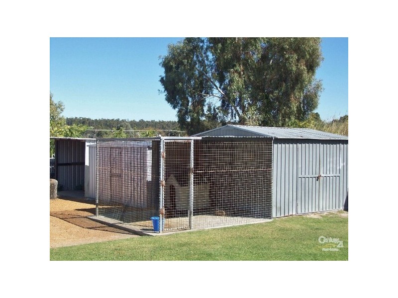 5 Doyle Street, Collie WA 6225