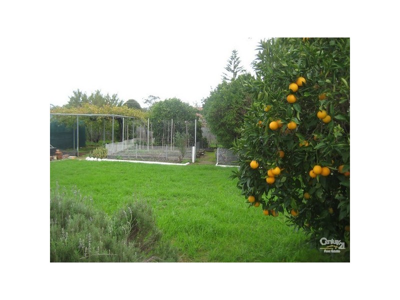 10 Grieves Street, Harvey WA 6220