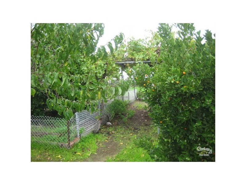 10 Grieves Street, Harvey WA 6220