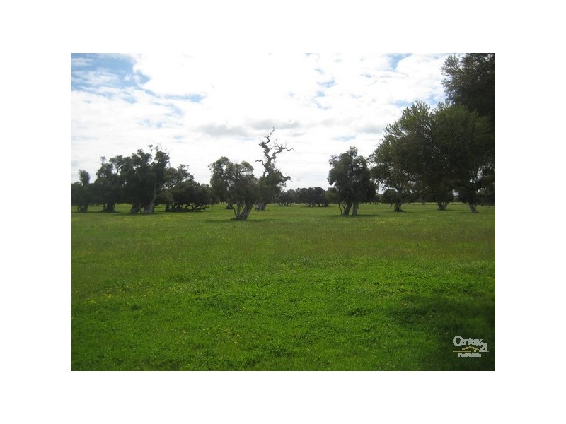 1027 Forestry Road, Harvey WA 6220