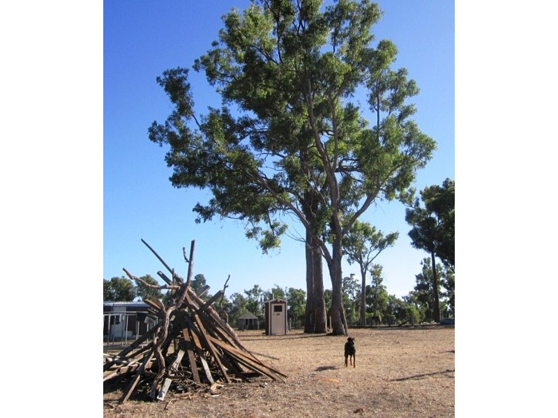 92 Johns Road, Collie WA 6225