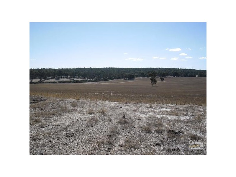 Lot 16 Six Mile Road, Boyup Brook WA 6244