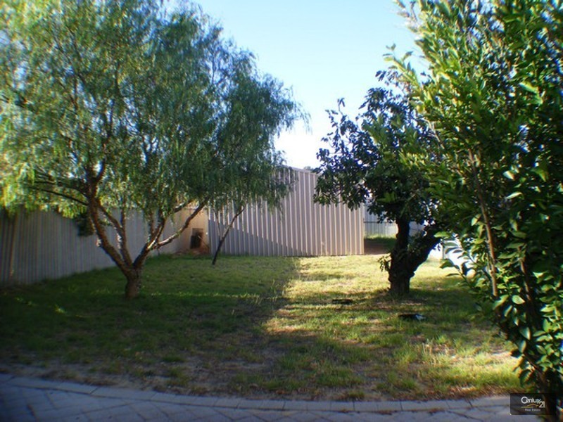 142 Wittenoom Street, Collie WA 6225