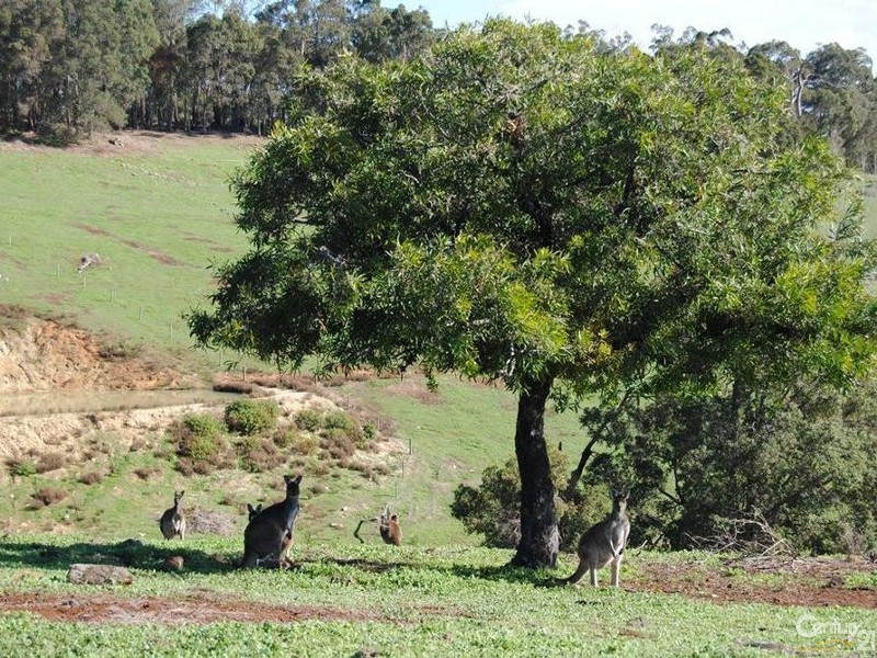 Lot 52 King Tree Road, Wellington Mill WA 6236
