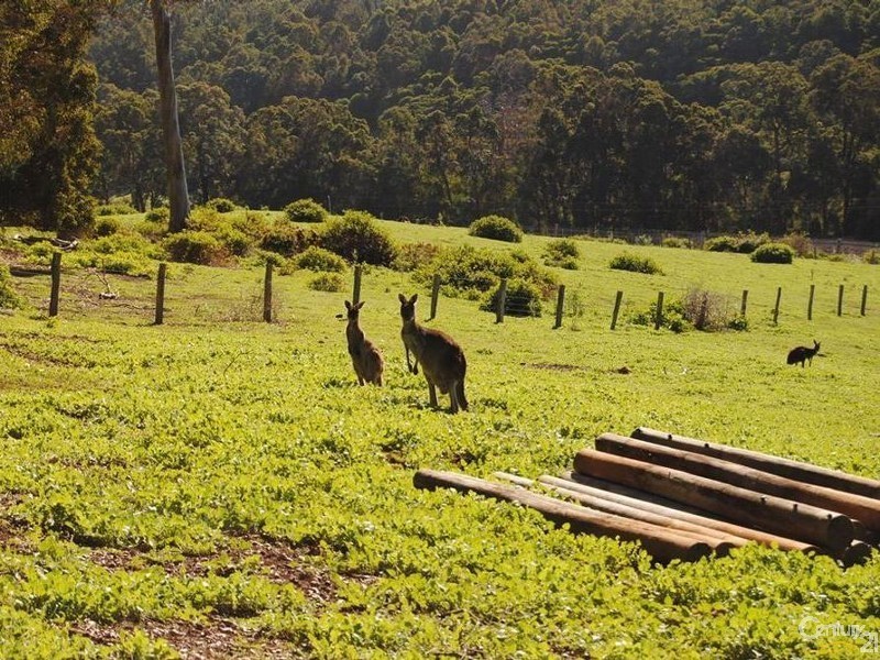 Lot 52 King Tree Road, Wellington Mill WA 6236