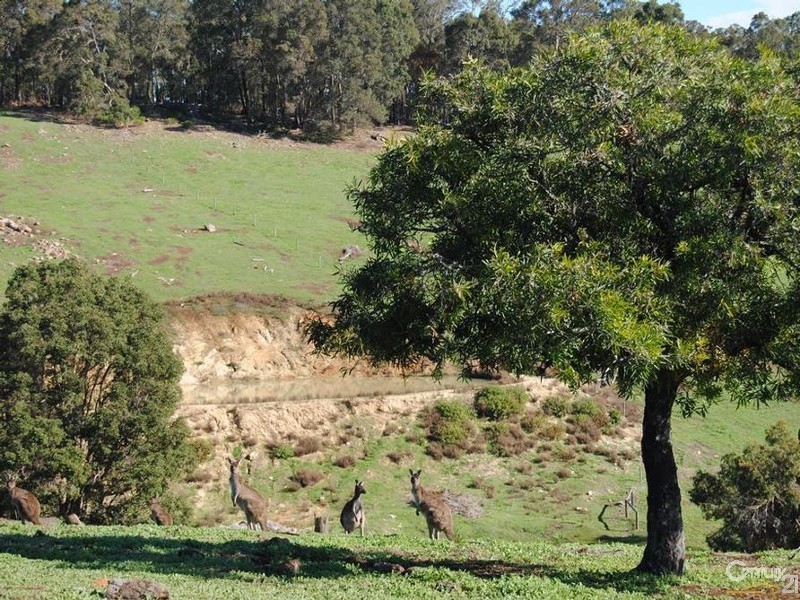 Lot 52 King Tree Road, Wellington Mill WA 6236