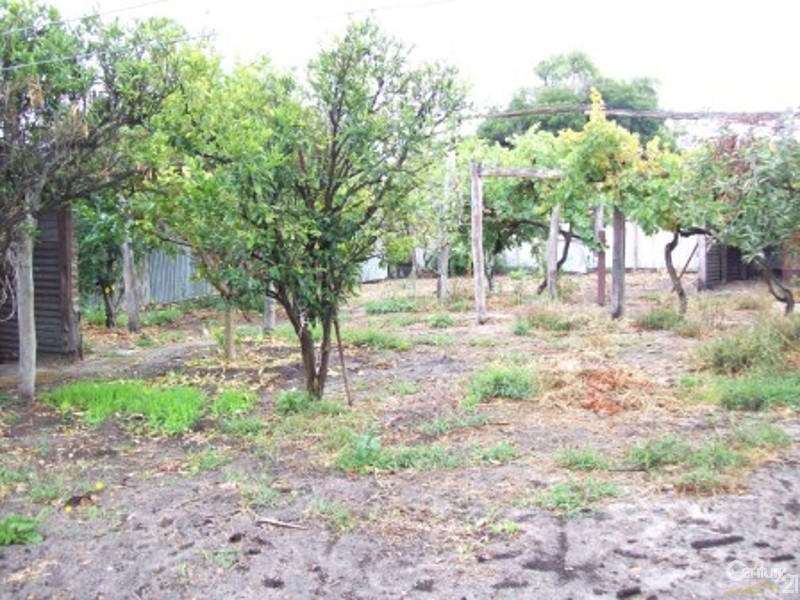 50 Raymond Street, Collie WA 6225