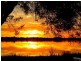 Lot 8  Coppin Place, Australind WA 6233