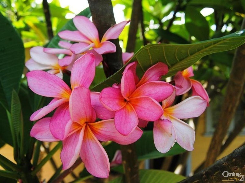 7 Money St, Burekup WA 6227