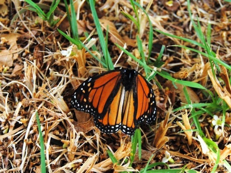 7 Money St, Burekup WA 6227