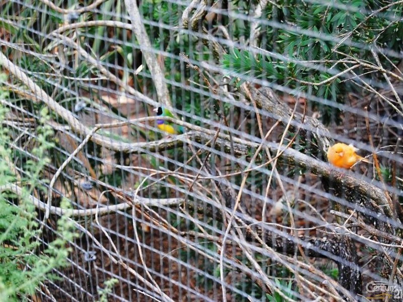 7 Money St, Burekup WA 6227