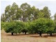 1322 Donnybrook – Boyup Brook Road, Donnybrook WA 6239