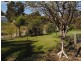 41 Hampstead St, Gelorup WA 6230