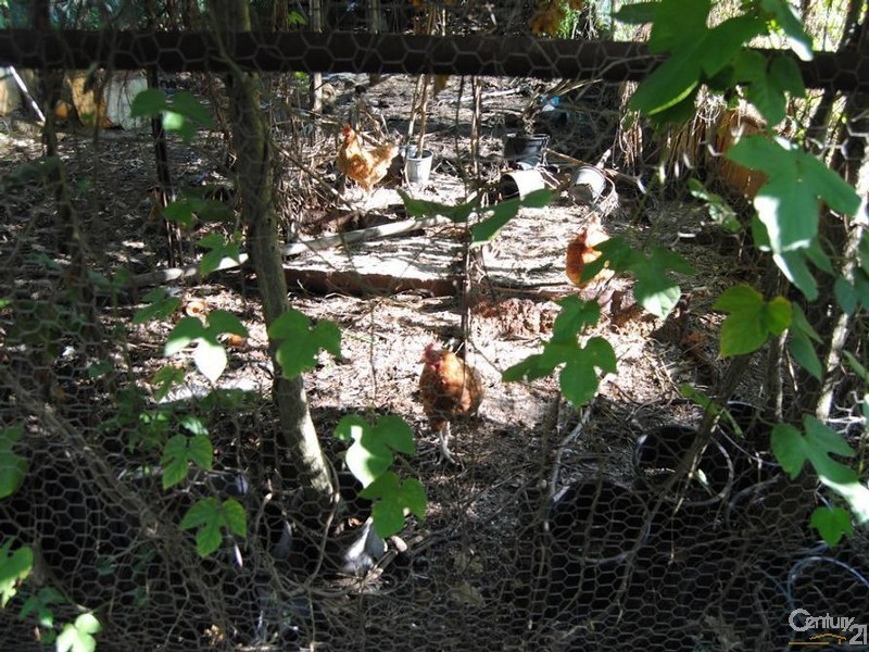 41 Hampstead St, Gelorup WA 6230