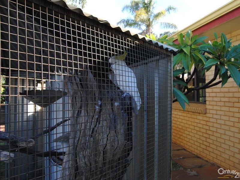 41 Hampstead St, Gelorup WA 6230