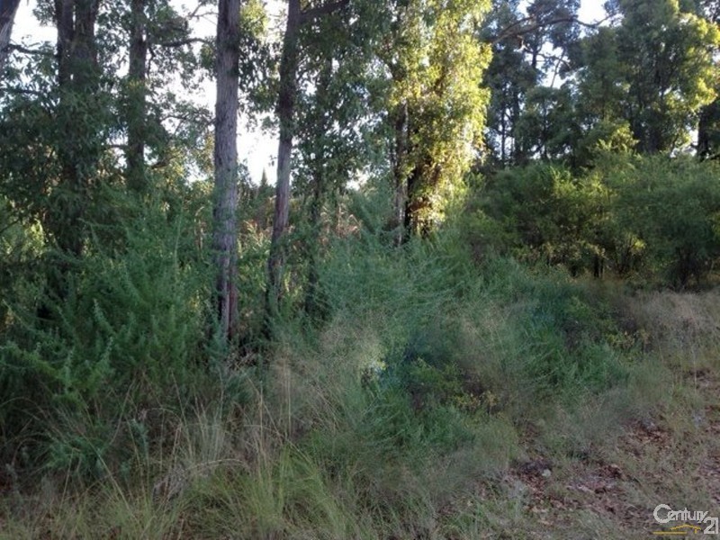 11 Park Street, Collie WA 6225