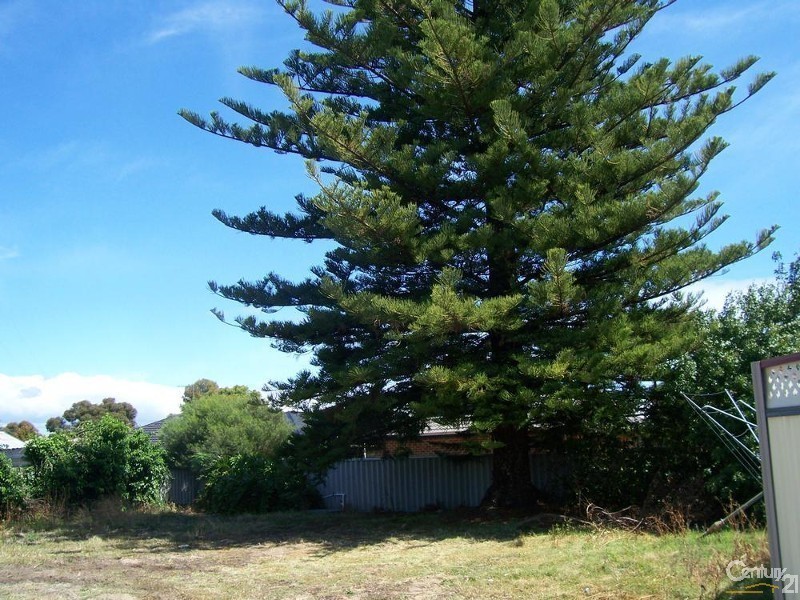 37B Frankel Street, Carey Park WA 6230