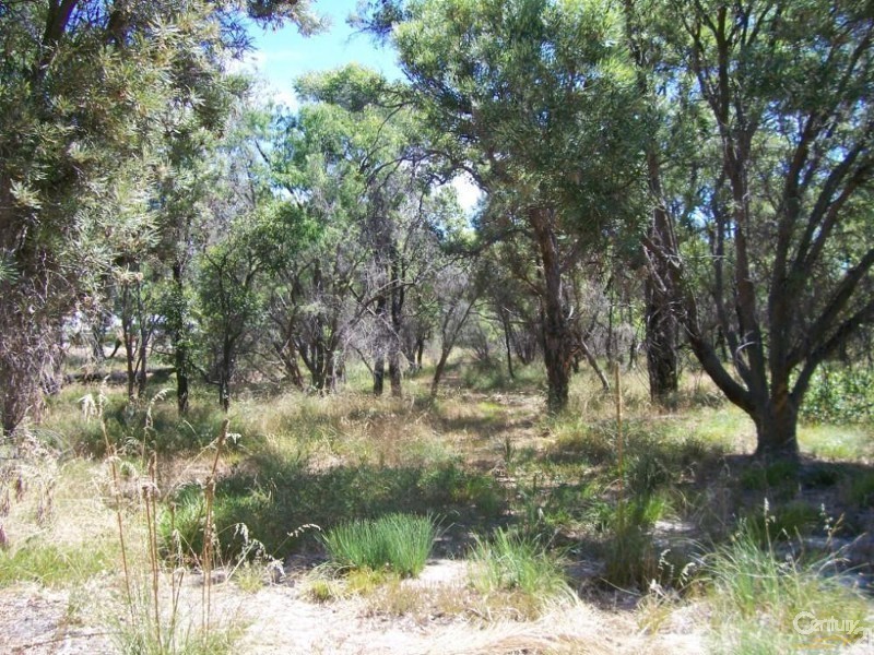 29 Brockway Drive, Gelorup WA 6230