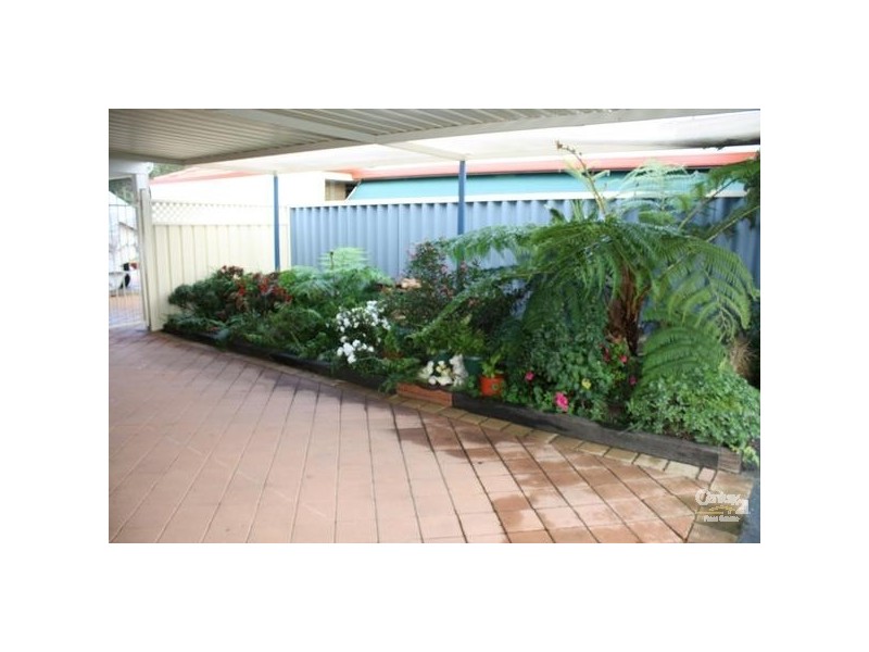 4 Jacksonia Street, Glen Iris WA 6230