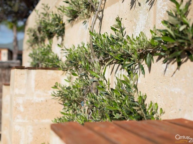 287 Norton Promenade, Dalyellup WA 6230