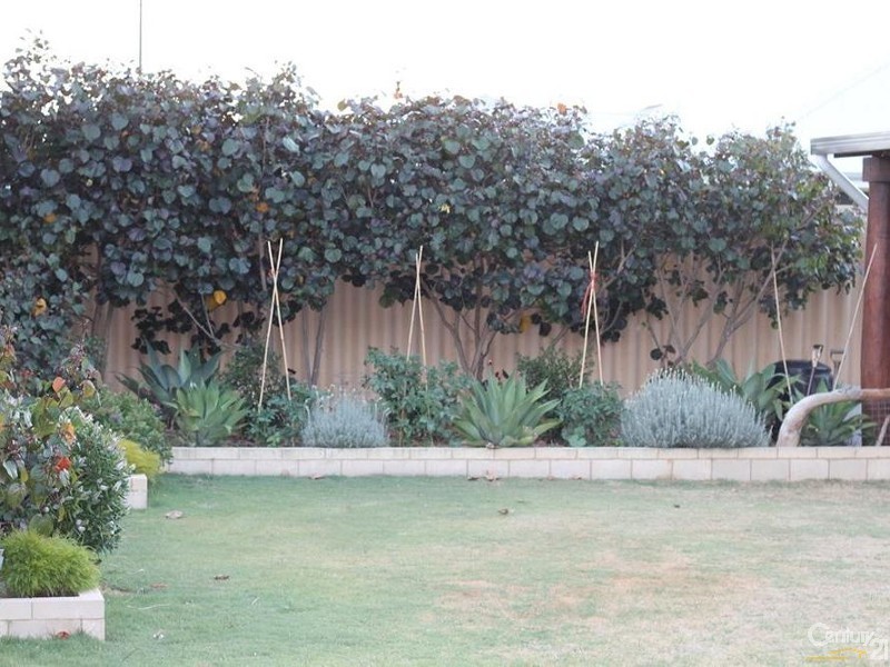 41 Daablone Vista, Dalyellup WA 6230