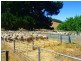 1829 Boyup Brook Cranbrook Road, Boyup Brook WA 6244