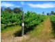 1829 Boyup Brook Cranbrook Road, Boyup Brook WA 6244