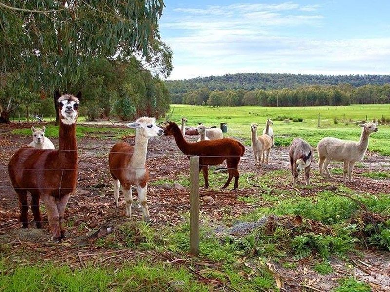 1337 Goodwood Road, Capel River WA 6271