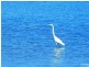 Proposed Lot 2/201 Rothesay Crescent, Australind WA 6233