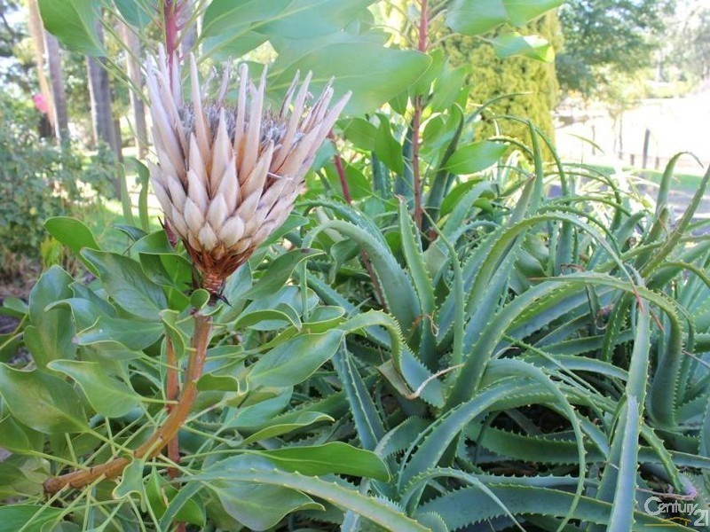 41 Hampstead Street, Gelorup WA 6230