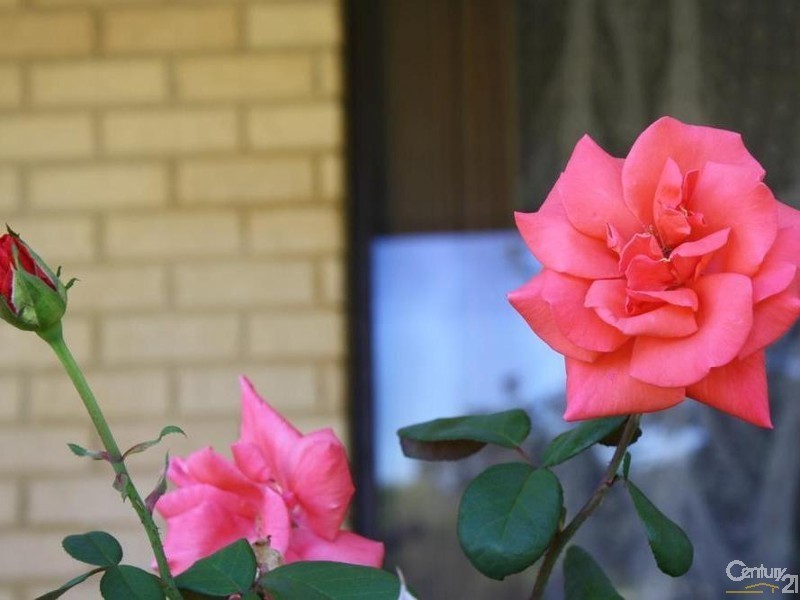 41 Hampstead Street, Gelorup WA 6230