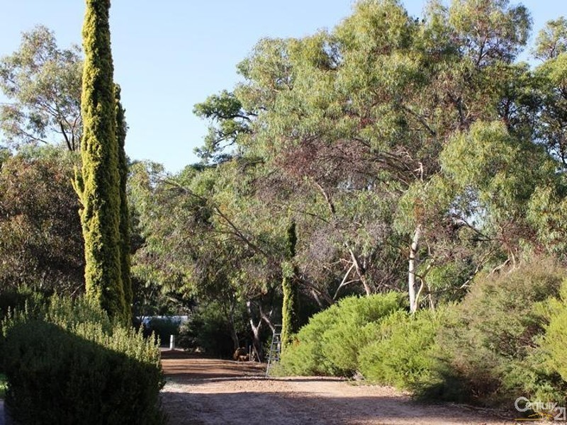 33 Nash Place, Donnybrook WA 6239