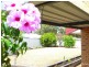 13 Fradelos Place, Usher WA 6230
